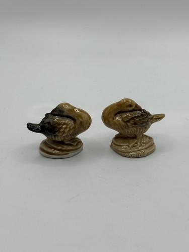 Lot geese wade - 2,