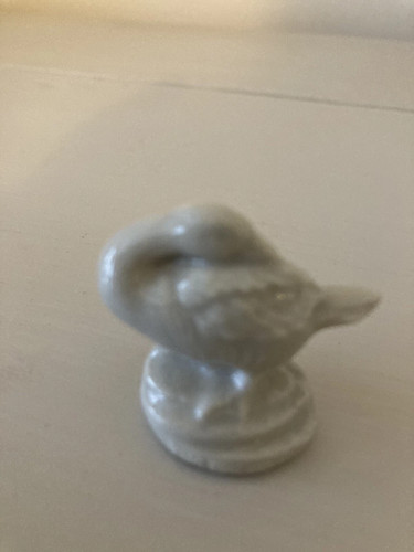 Snow goose wade - snow,